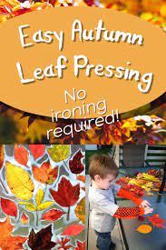 Easy Autumn Leaf Pressing No Ironing