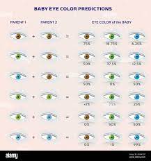 baby eye color prediction chart icons