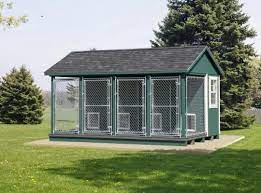 Dog Kennel S Explained The Dog