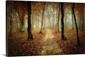 Black Forest Wall Art Canvas Prints