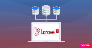 laravel 6 dynamic database connection