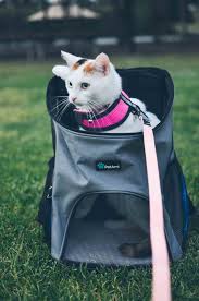 Because we believe the best hiking backpack is not the best for everyone. Cat Backpacks For Adventuring With Your Cat Catexplorer