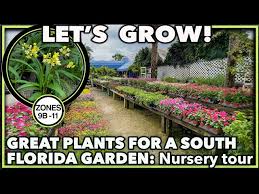 Garden Nursery Tour Best Plants For