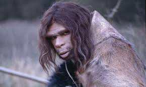 L'uomo di neanderthal (homo neanderthalensis) aveva un volto pronunciato con un grande naso per poter respirare meglio e inalare molta aria, un chiaro vantaggio in un ambiente ostile come quello. Ci Siamo Incrociati Con I Neanderthal Piu Di 220mila Anni Fa Wired