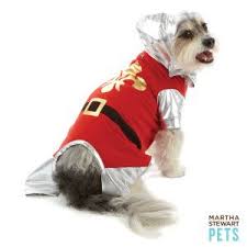 Martha Stewart Pets Knight Costume Petsmart Dogs
