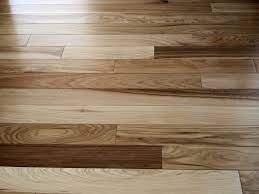 wood flooring for dogs