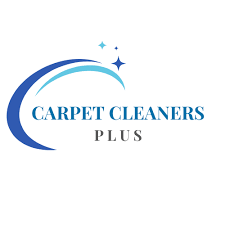 carpet cleaning services in chicago