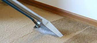 choose the best carpet cleaning company