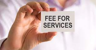 Can you provide an example of a fee-for-service payment method?: BusinessHAB.com
