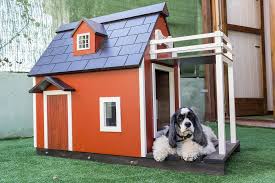 Best Dog Houses To Build This Summer