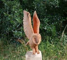 Commission A Landing Owl Garden