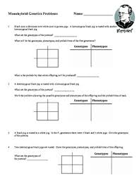 Start studying monohybrid cross worksheet. 30 Monohybrid Crosses Practice Worksheet Answer Key Worksheet Project List