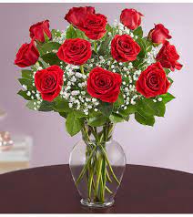 red roses 1 dozen send to