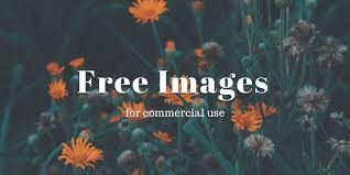 10 best s for free stock images