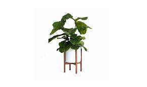 Mid century modern planter stand. Midcentury Modern Cylinder Planters 10 Stylish Pots For Houseplants