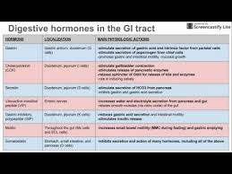 Digestive Hormones Of The Gi Tract Youtube