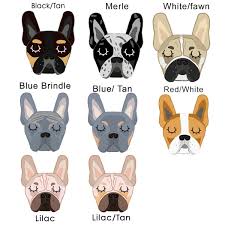 **new blue french bulldog puppies coming july 28th **. French Bulldog Personalised Ceramic Dog Bowl Frenchie