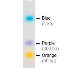 6x dna loading buffer 3 color 5x1 ml