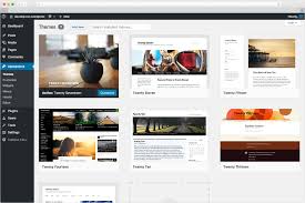Image result for wordpress themes
