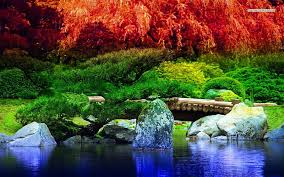 Beautiful Japanese Garden Autumn