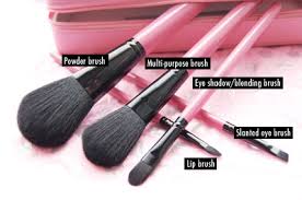 basic brushes beauty south africa