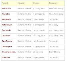 what is mucinex for dogs dosage chart