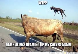WTF?... - Flying Cow Meme Generator Captionator via Relatably.com