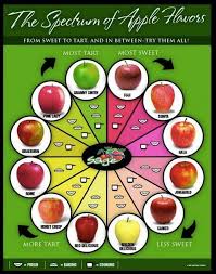 Get To Know Your Apples Chart Apple Chart Food Baked Apples