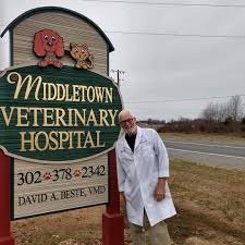 We currently see approximately 20,000 patients a year. Meet Our Veterinarians Middletown Vet Middletown Veterinary Hospital