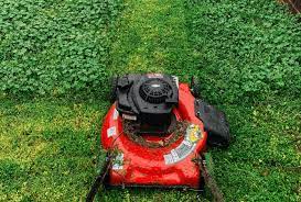 Getting started with your lawn care service and landscaping business. Here S All That There S To Know About Starting A Thriving Lawn Care Business How To Start A Business Even In Tough Times The Ultimate Guide