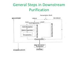 Downstream Processing