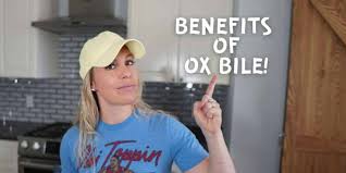 what is ox bile what does ox bile do