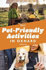 pet friendly activities in oxnard