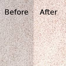 carpet cleaning services waterford mi