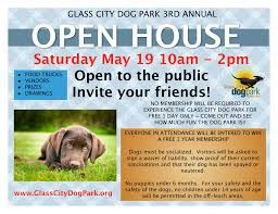 Forest green velvet dog collar. Glass City Dog Park Glass City Dog Park Open House