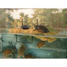 zoo med floating turtle pond dock