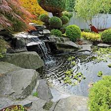 Pond Design Water Feature