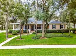 homes in fish hawk fl