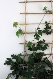 See more ideas about trellis, indoor trellis, garden trellis. Diy Indoor Plant Trellis From Bamboo Rope Dossier Blog