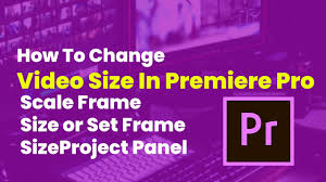 premiere pro scale frame size