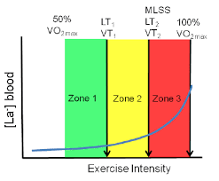 Three Intensity Zones Defined By Physiological Determination