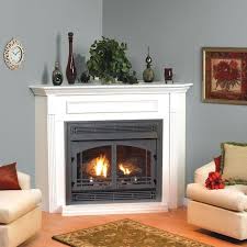 Fireplace Gas Fireplace Vent Free Gas