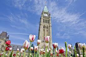 top 10 things to do in ottawa with kids