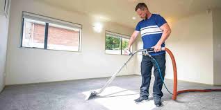 commercial carpet cleaner in auckland