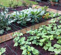 Shop with afterpay on eligible items. The Best Vegetables For A Trellis For Vertical Gardening