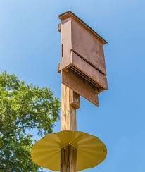 Build A Better Bat House Childhood By