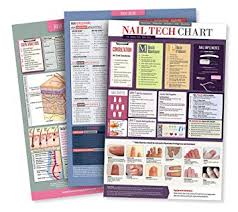 Amazon Com Educational Cosmetology Poster Bundle Pack For