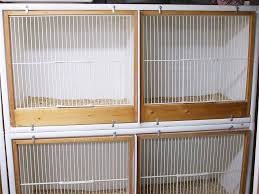 How To Build A Breeding Cage Part Two