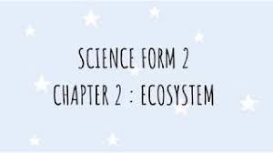 Learn vocabulary, terms and more with flashcards, games and other study tools. Science Form 2 Kssm Chapter 2 Ecosystem Youtube