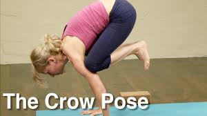 Bakasana (crane pose), and the similar kakasana (crow pose) are balancing asanas in hatha yoga and modern yoga as exercise. Crow Pose Or Bakasana Explained By Esther Ekhart Youtube